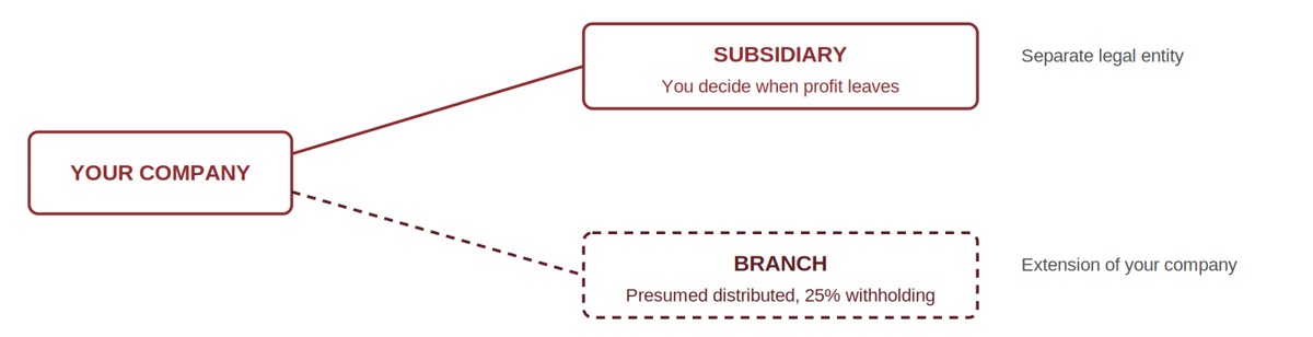 Diagram comparing a French subsidiary and a French branch, showing a subsidiary as a separate legal entity where the company decides when profit leaves, and a branch as an extension of the company where profit is presumed distributed with a 25% withholding tax